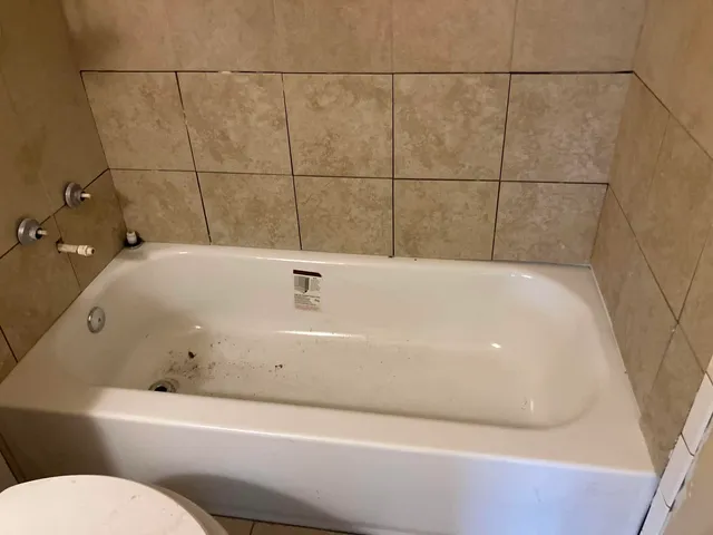 Bathroom before remodel — worn tub and aging tile wall