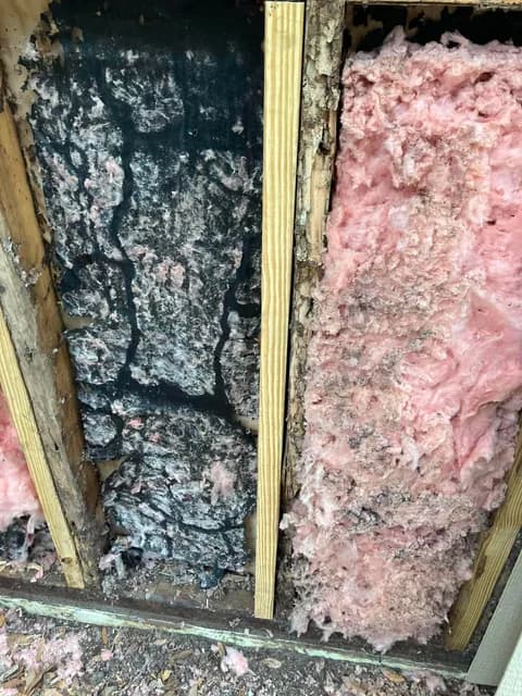 Hidden damage uncovered — black mold and rot found behind old garage siding