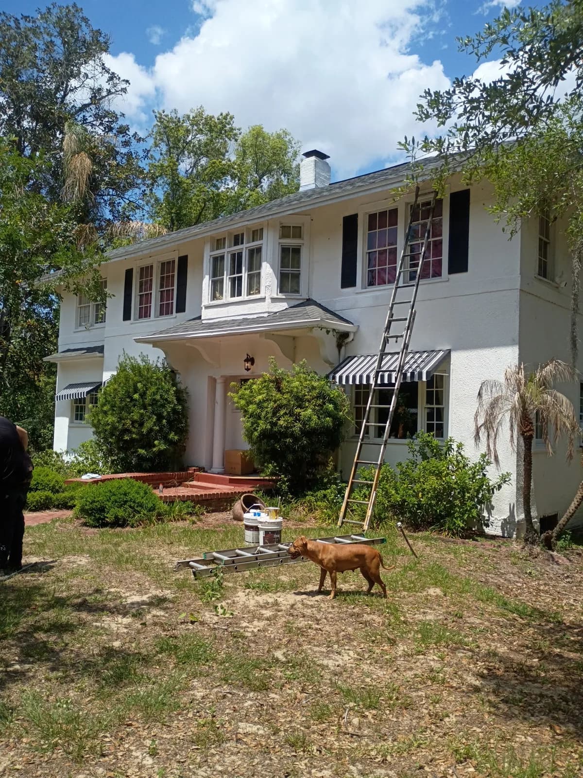 Two-story home front during exterior work — ladder up, crew painting