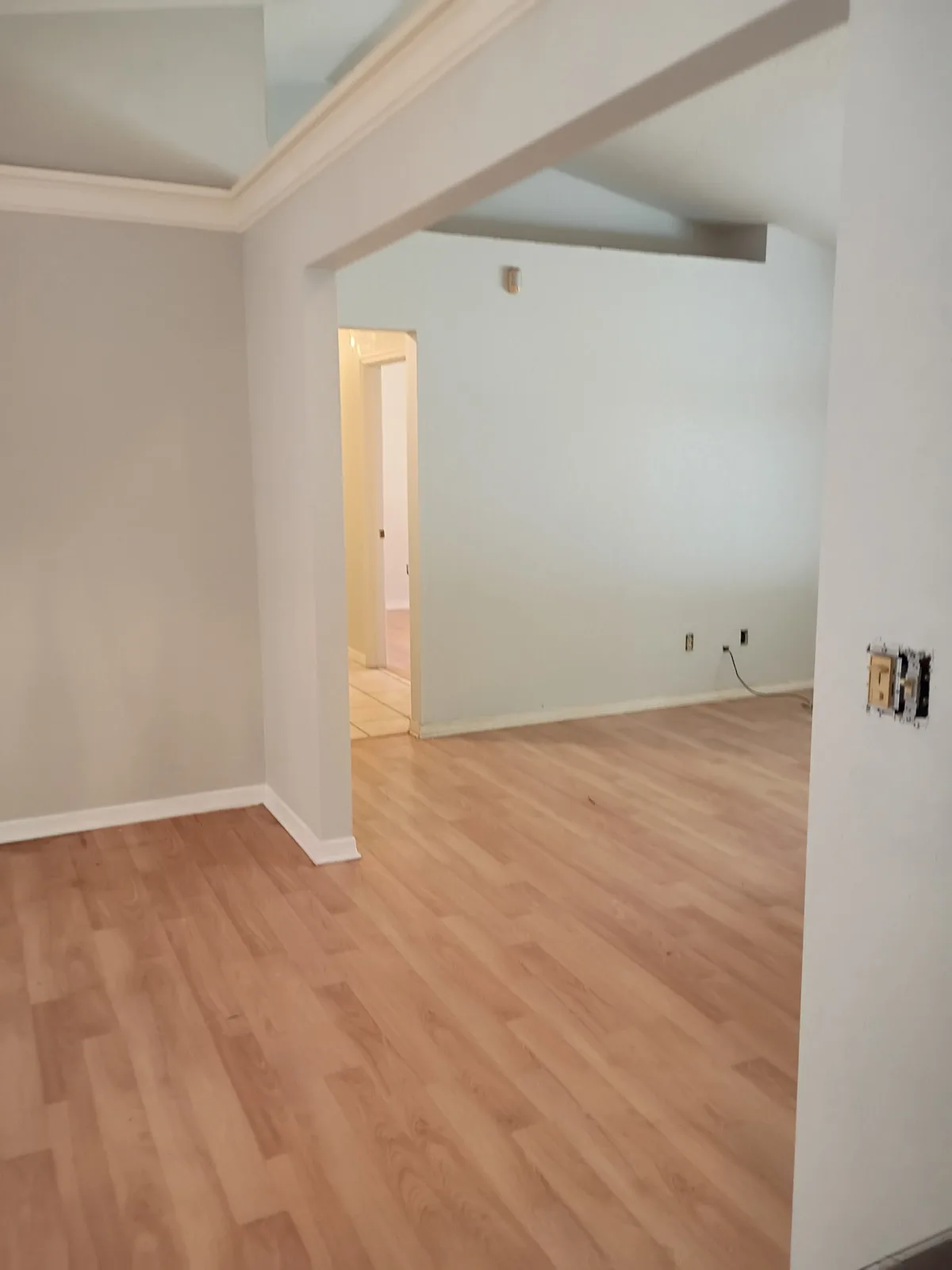 Living and dining area after painting — open plan light gray palette