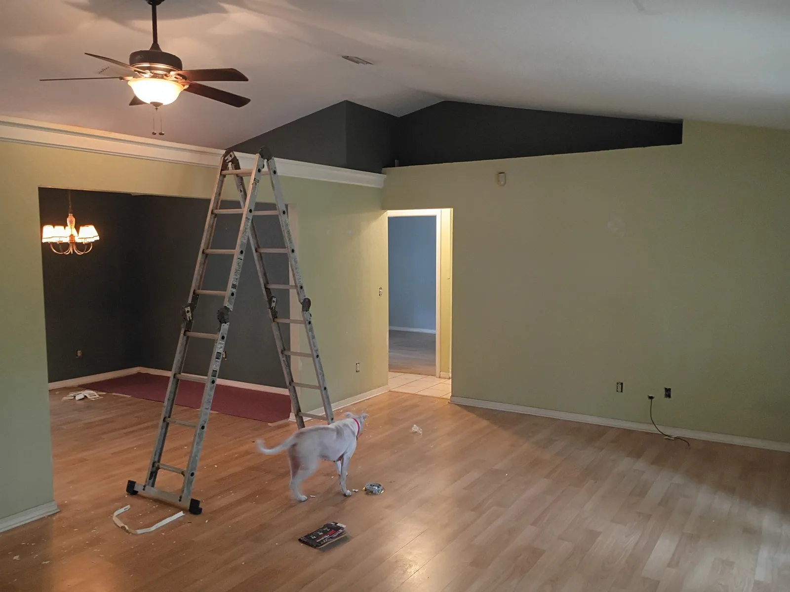 Living room before painting — olive green and dark charcoal walls